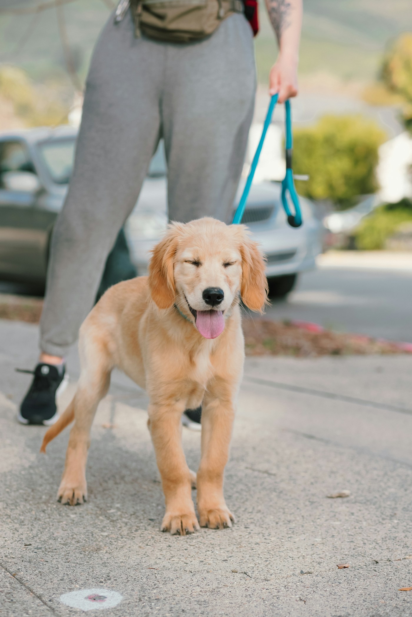 A person outdoors with a dog on a leash